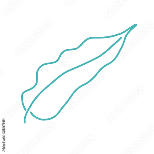 Green outline of leaf illustration hand-drawn art