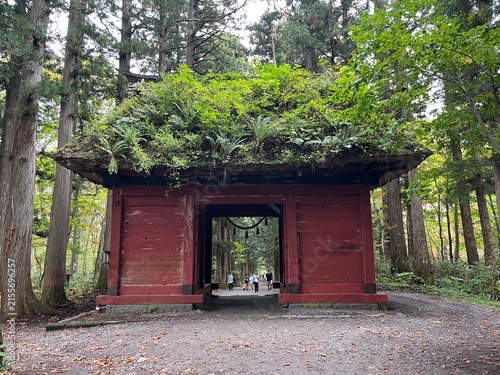 Togakushi Shrine Zuishinmon Gate in Togakushi, Nagano, Japan