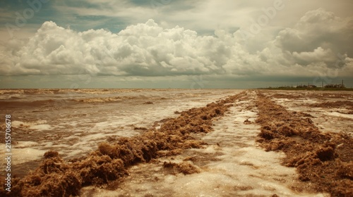 A Hurricane Surge Deposits Saltwater Sand and Marine Debris Along a Stormy Coastline under Cloudy Skies