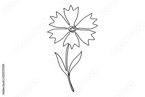 Single Carnation Flower Line Art Illustration with Stem and Leaves
