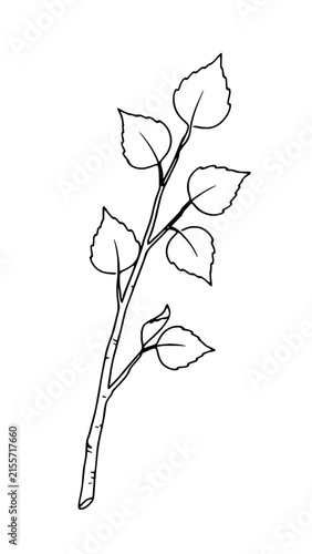 Minimalist black line drawing of a leafy tree branch with organic leaves on transparent background