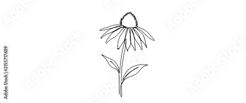 Minimalist Line Art Drawing of a Wildflower with Leaves