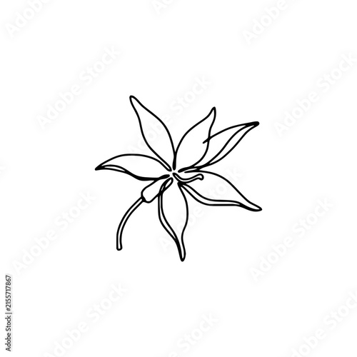 Continuous Line Art of a Blooming Lily Flower
