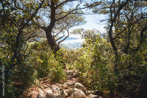 Beautiful coast of Rabac near Labin, Croatia. Forest path leads to Adriatic sea.