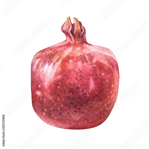 Canvastavla Watercolor red garnet isolated on white background