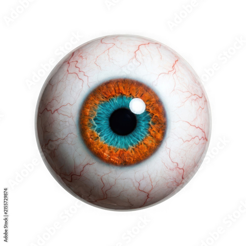 Realistic human eyeball with blue and orange iris isolated on transparent background