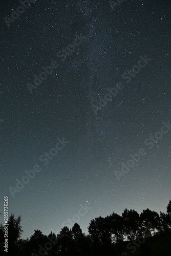Perseid meteor shower lighting up the summer night sky with bright meteors streaking across a field of stars. A spectacular astrophotography scene capturing the natural beauty of the Perseids