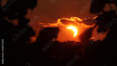 Solar eclipse trough trees with clouds