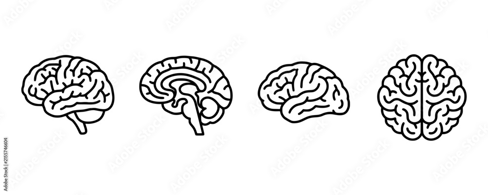 Fototapeta premium Human brain icon vector. Simple flat symbol. editable strokes