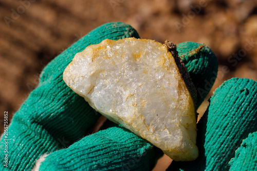 фотографія Hand holding a raw translucent quartz pebble found in a gravel pit, highlighting