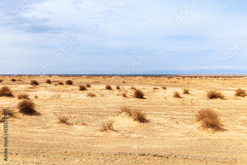 Konstfotografi Wide daytime view of sandy desert terrain and sparse shrubs in Xinjiang, China, offering natural background space for travel, climate, conservation, and environmental concepts