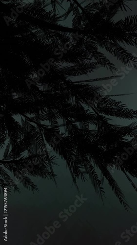 Silhouette of branches with leaves and lightning