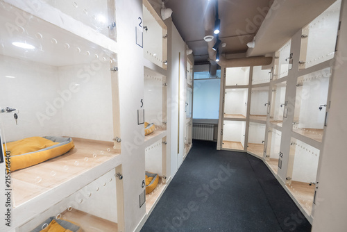 Принти на полотні An empty pet boarding facility with individual rooms with glass doors