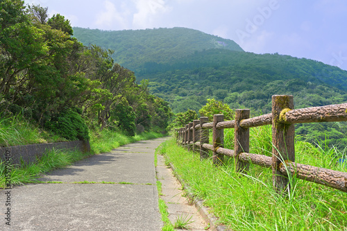 Konstfotografi 伊豆半島の伊豆山稜線歩道　夏のだるま山高原の歩道から小達磨山を眺める