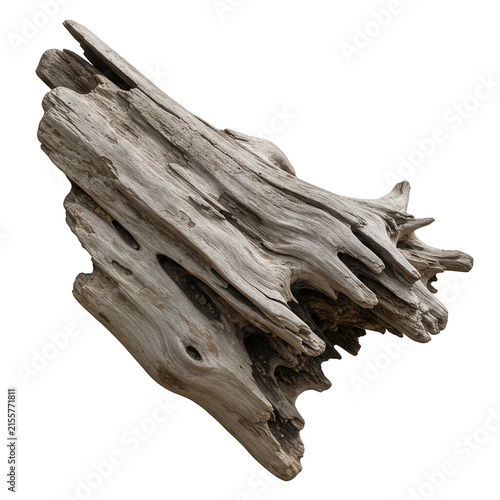 Piece of weathered driftwood isolated on transparent background