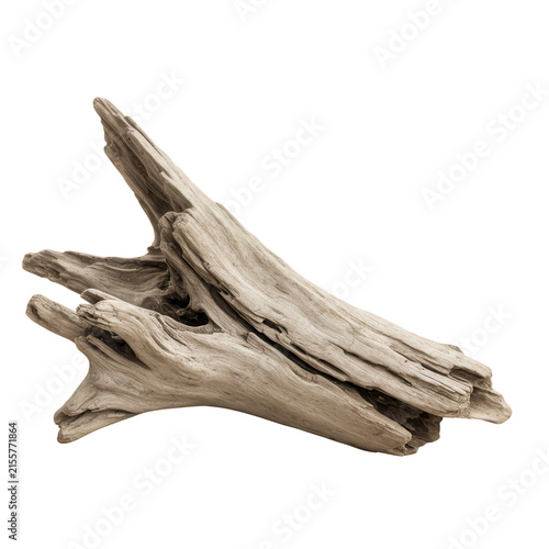 Piece of driftwood, weathered and textured isolated on transparent background