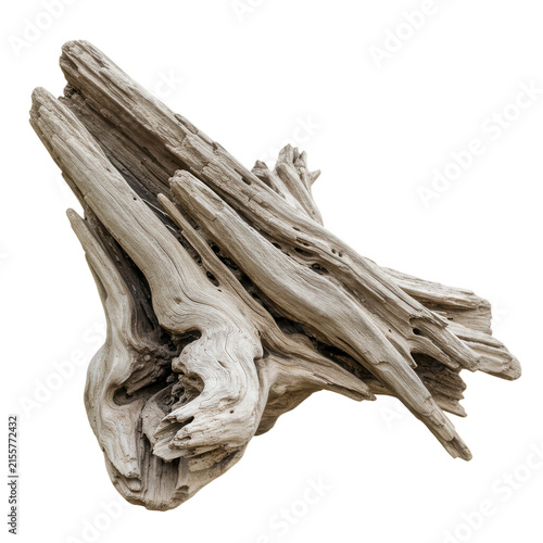 Piece of driftwood with weathered texture isolated on transparent background