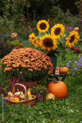 Autumn still life with flowers and pumpkins in the garden.