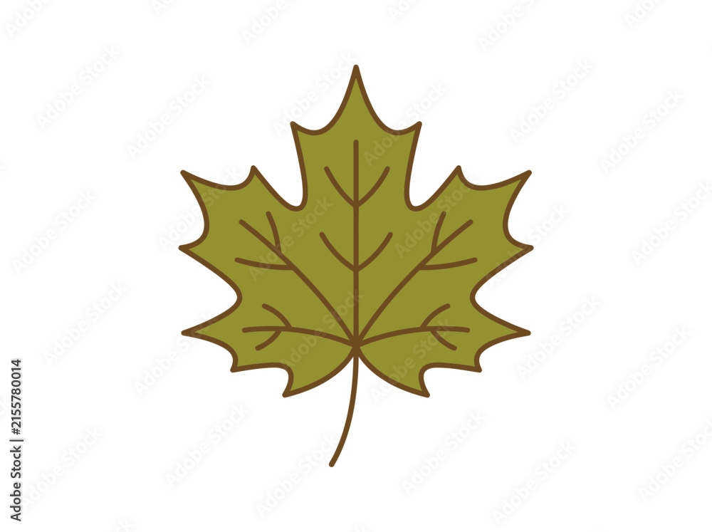 Fototapeta premium A simple flat vector icon of a green maple leaf isolated on white background.
