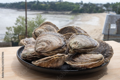 фотографія Belon oysters, delicate, premium flat oysters from Brittany, France