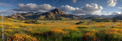 Beautiful landscape featuring mountains and wildflowers bathed in a romantic golden glow