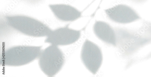 Minimal Botanical Leaf Shadow Silhouette with Soft Edges, Isolated Transparent PNG Nature Element