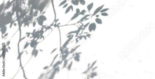 Realistic Tree Branch Shadow with Detailed Leaves and Natural Sunlight, Isolated Transparent PNG Overlay