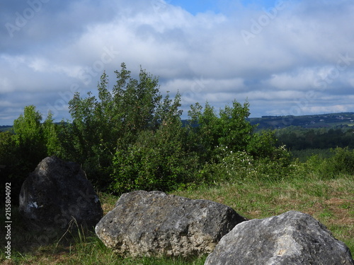 Photography Large rocks sit quietly in a wild meadow, surrounded by grass and low vegetation
