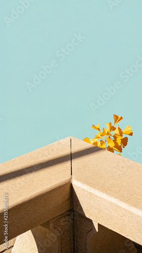 Modern stone building corner with golden yellow ginkgo leaves under clear pastel blue autumn sky with copy space