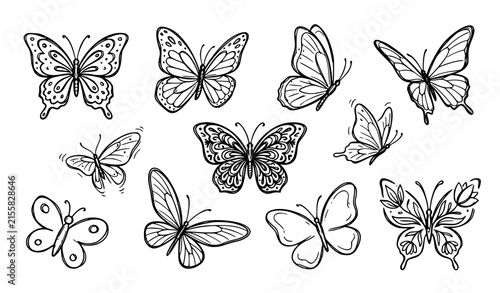 Hand Drawn Butterfly Sketch Symbols Monochrome Outline Vector Collection