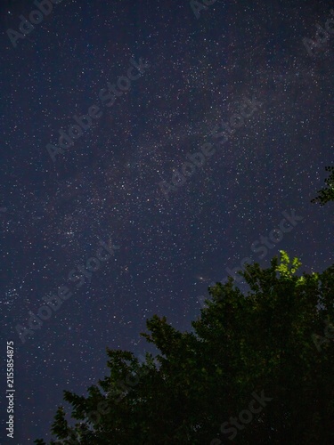 Nighttime photograph of the August Perseid shower
