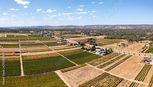 vineyard in Western Australia, Aerial view, Swan Valley, Perth, Australia