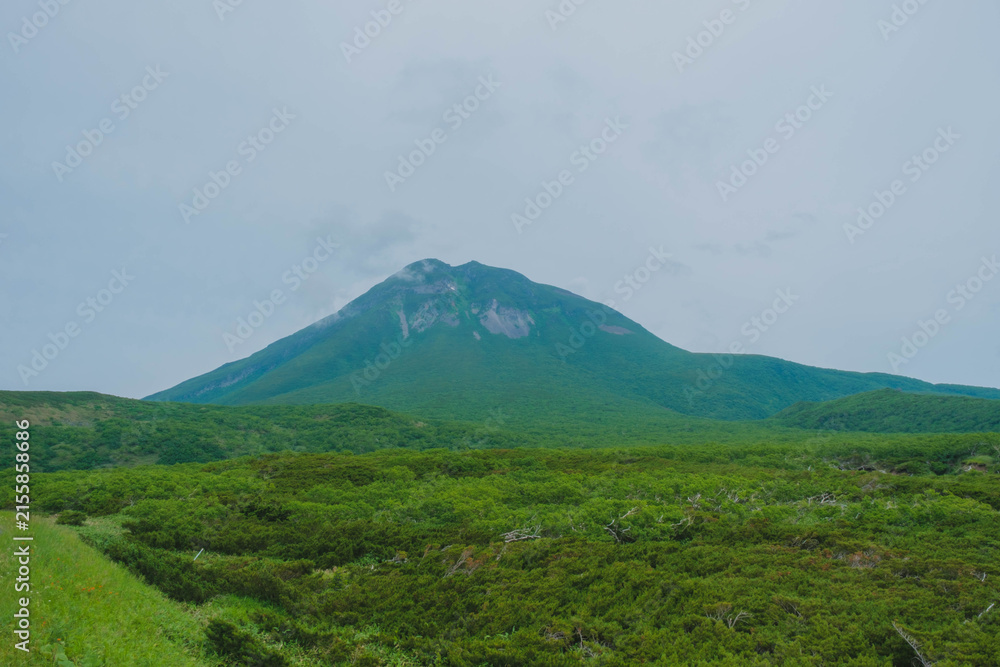 Obraz premium 知床、北海道の大自然が堪能できる世界自然遺産の風景、北海道、日本