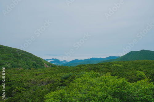 Canvas Print 知床、北海道の大自然が堪能できる世界自然遺産の風景、北海道、日本