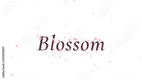 Pink petals falling over the word Blossom.  Pink petals falling over the word Blossom for spring media
