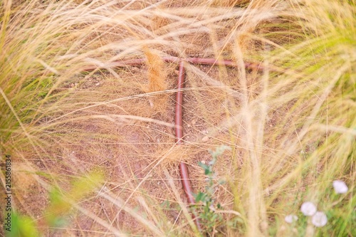 Top view of drip irrigation system plastic tube line in dry garden soil with selective focus