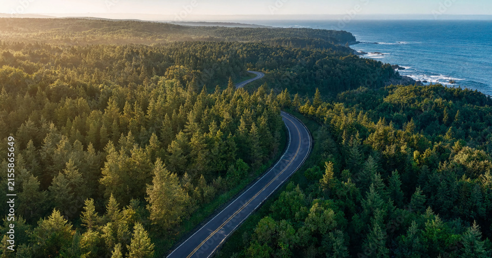 Fototapeta premium Aerial coastal road winding through lush green forest by the ocean at sunrise