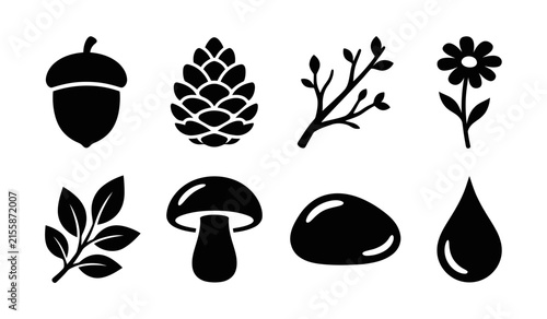 Collection of black silhouettes of nature elements: acorn pinecone twig flower leaf with pinecone