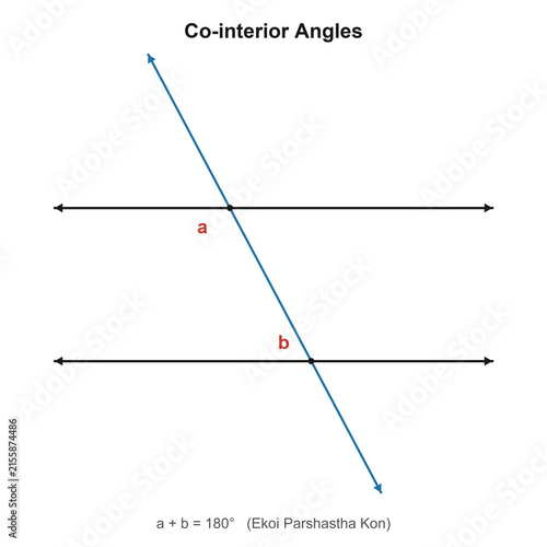 Bild auf Leinwand Co-interior angles parallel lines transversal geometry diagram