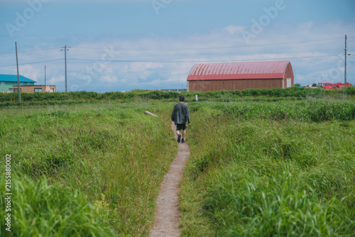 Fotografía 野付半島、北海道の大自然を堪能できるスポット、北海道、日本
