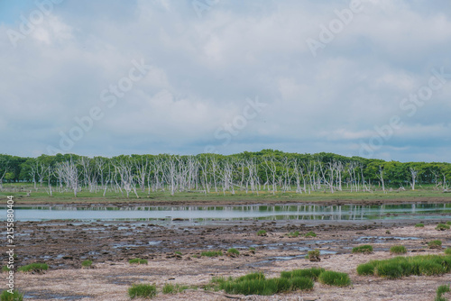 Bild auf Leinwand 野付半島、北海道の大自然を堪能できるスポット、北海道、日本