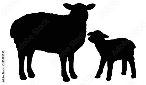 Black silhouette of a mother sheep and her small lamb standing together on a white background, baby