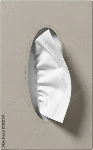 Modern Minimalist Beige Tissue Box with White Paper Napkin