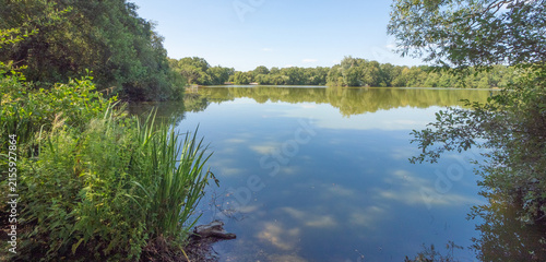 Attractive walk through trees around Lymm Dam, Lymm, Cheshire, UK