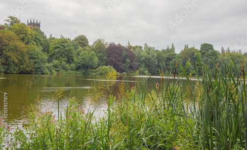Attractive walk through trees around Lymm Dam, Lymm, Cheshire, UK