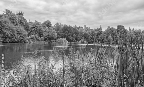 Attractive walk through trees around Lymm Dam, Lymm, Cheshire, UK