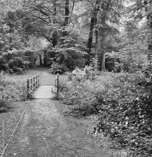 Attractive walk through trees around Lymm Dam, Lymm, Cheshire, UK