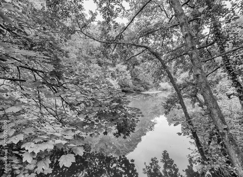 Attractive walk through trees around Lymm Dam, Lymm, Cheshire, UK