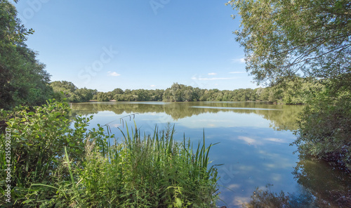 Lovely July summers day at Shackerley Mere , Cheshire, UK
