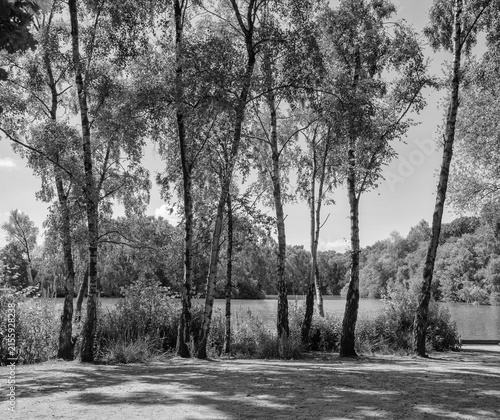 Lovely July summers day at Shackerley Mere , Cheshire, UK